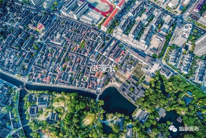 什么是如皋蝶尾,如皋的特点