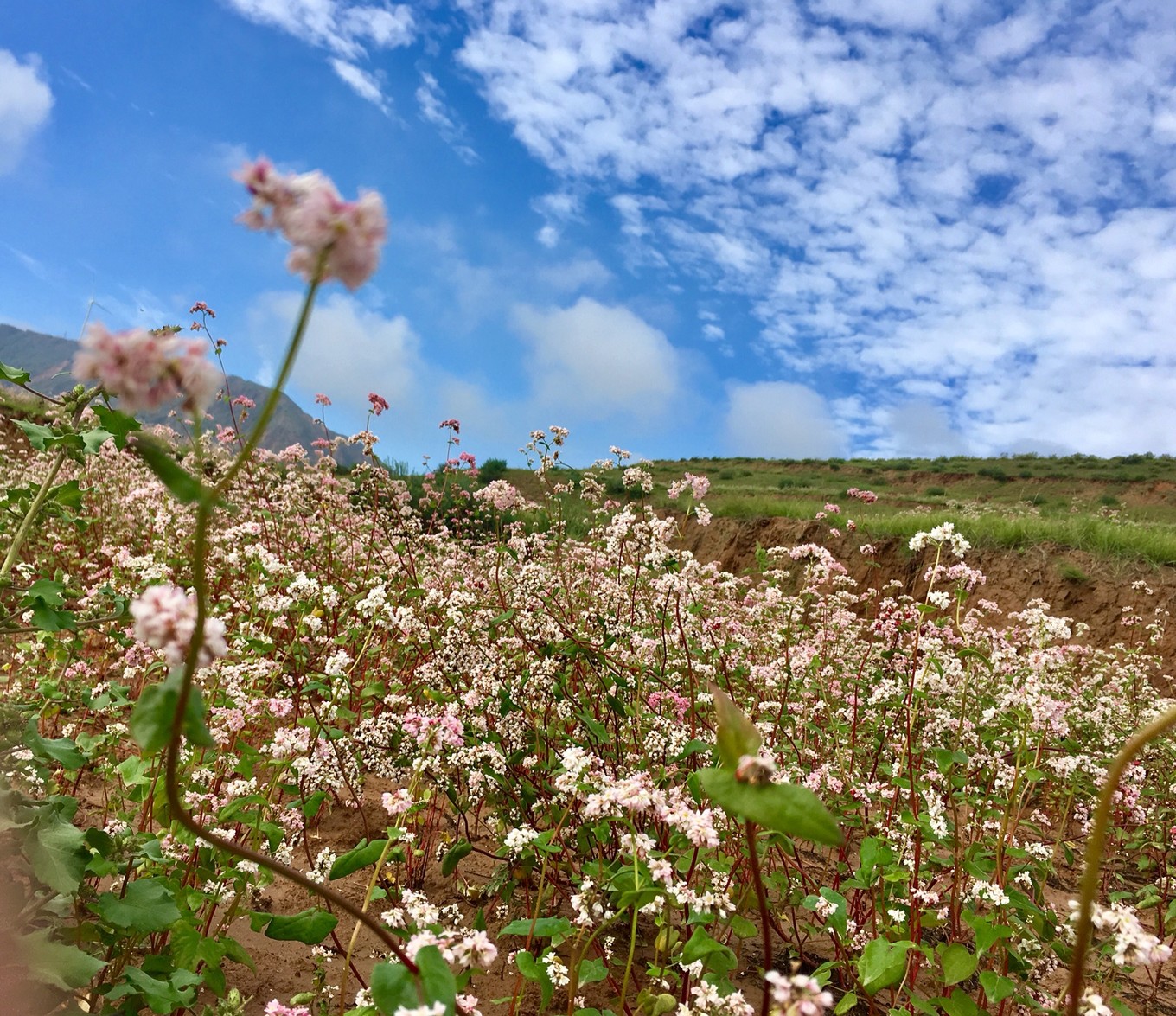 我的旅行日记陕西靖边波浪谷,靖边波浪谷水上丹霞旅游攻略