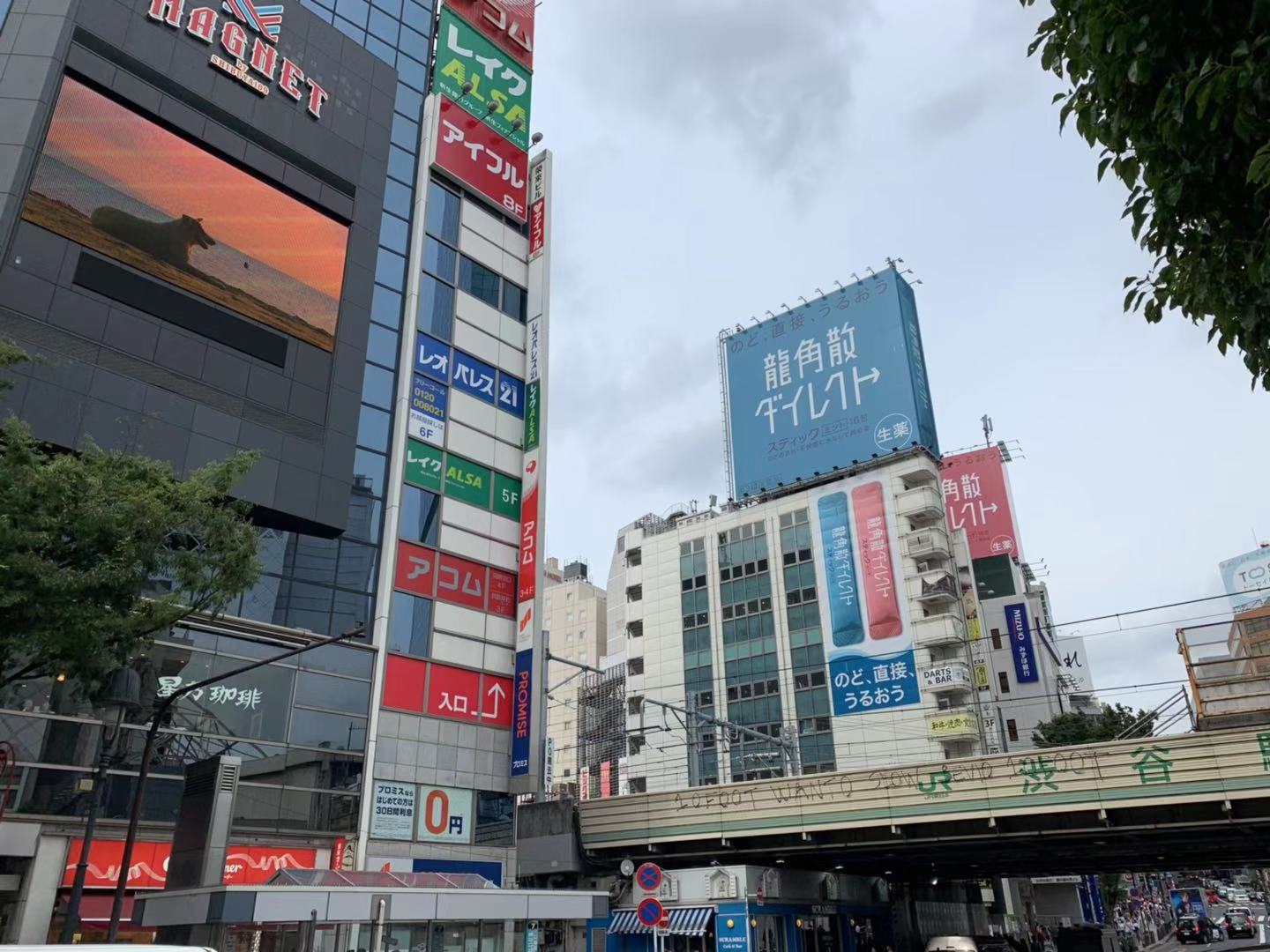 东京游记攻略,东京旅游指南攻略