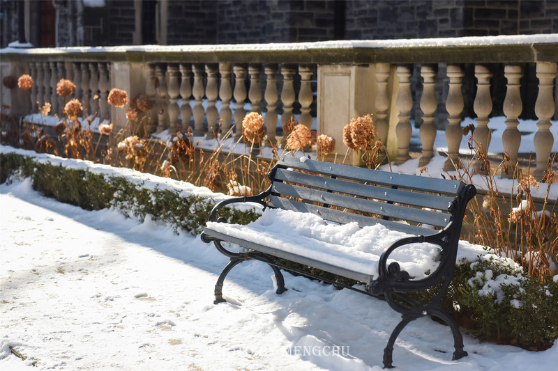 加拿大多伦多好看的大学,多伦多有哪些著名的大学