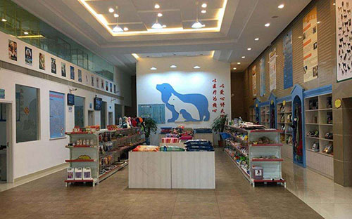 博美忽然就不爱喝水了怎么回事,博美不吃食精神不好