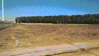 长春新区上央视新闻,央视新闻长春最新消息