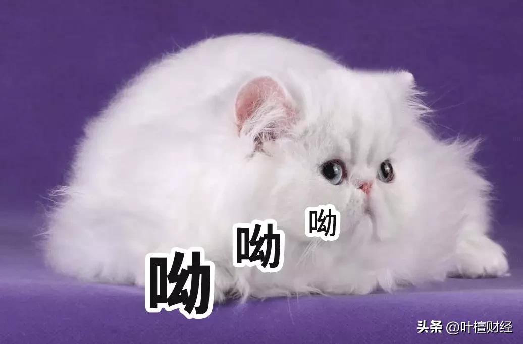 房地产一落千丈,一落千丈5