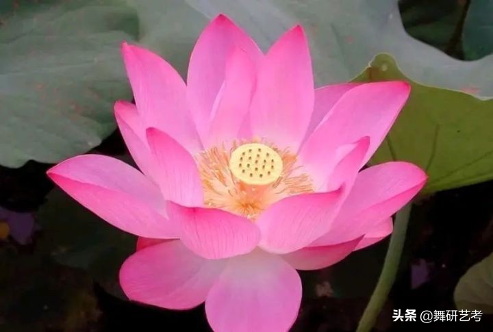 什么是开胯？我来告诉你