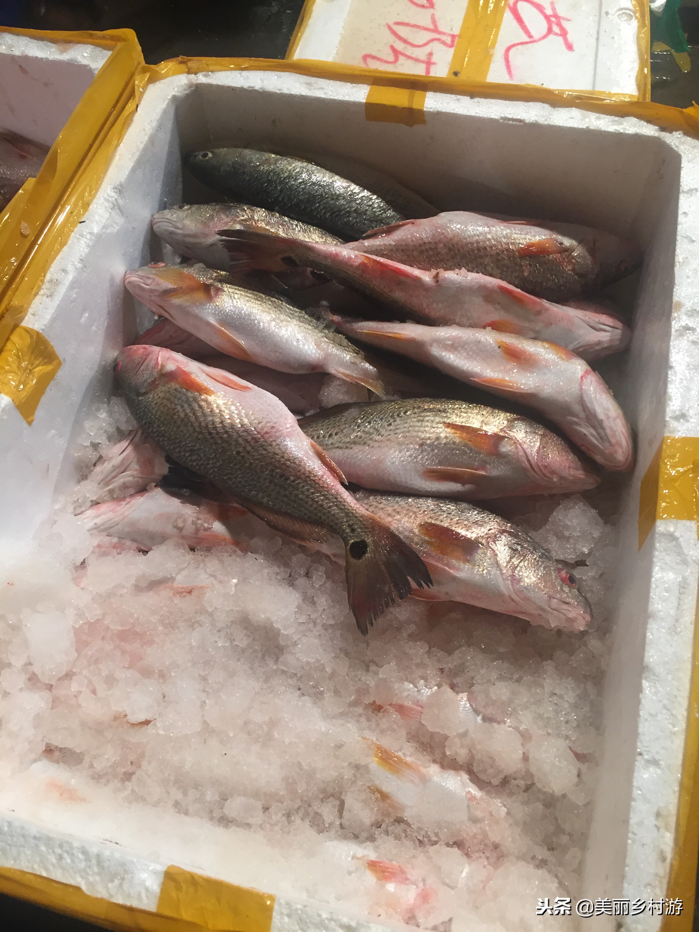 莆田傍晚海鲜批发码头,莆田海鲜批发市场营业时间