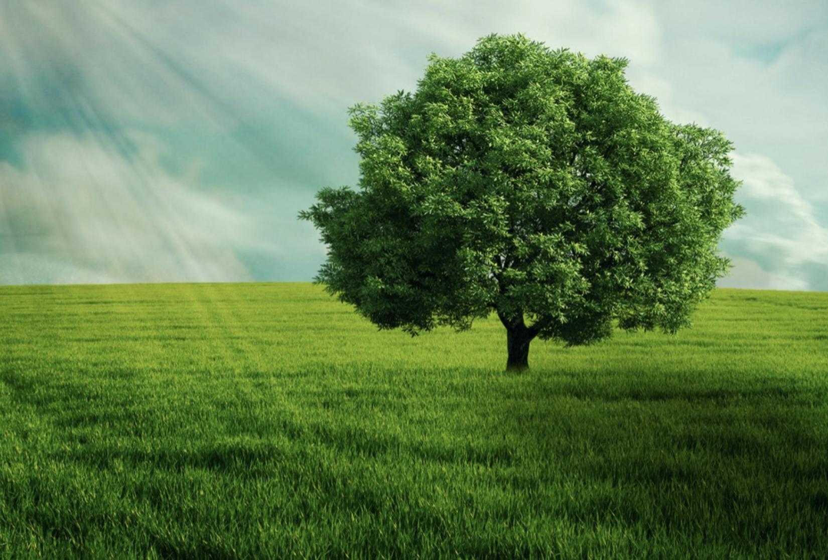 道德经二十一章读书笔记,老子读书笔记摘录