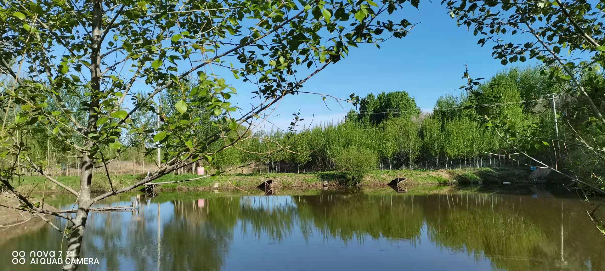 有格子的本子怎么解开,如何解决本子太多