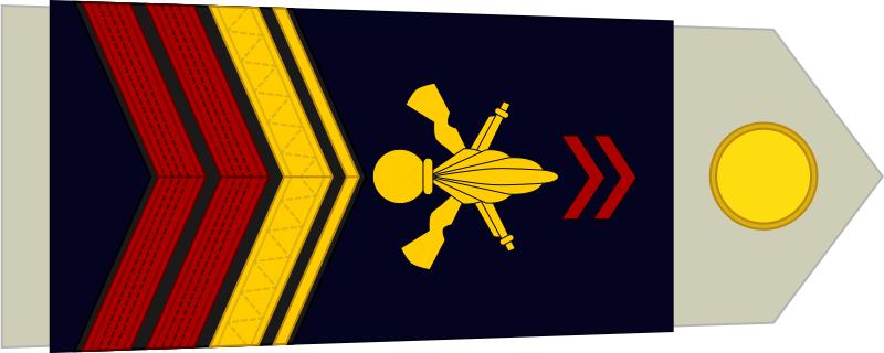 法国将军军衔等级,法国上校是什么军衔