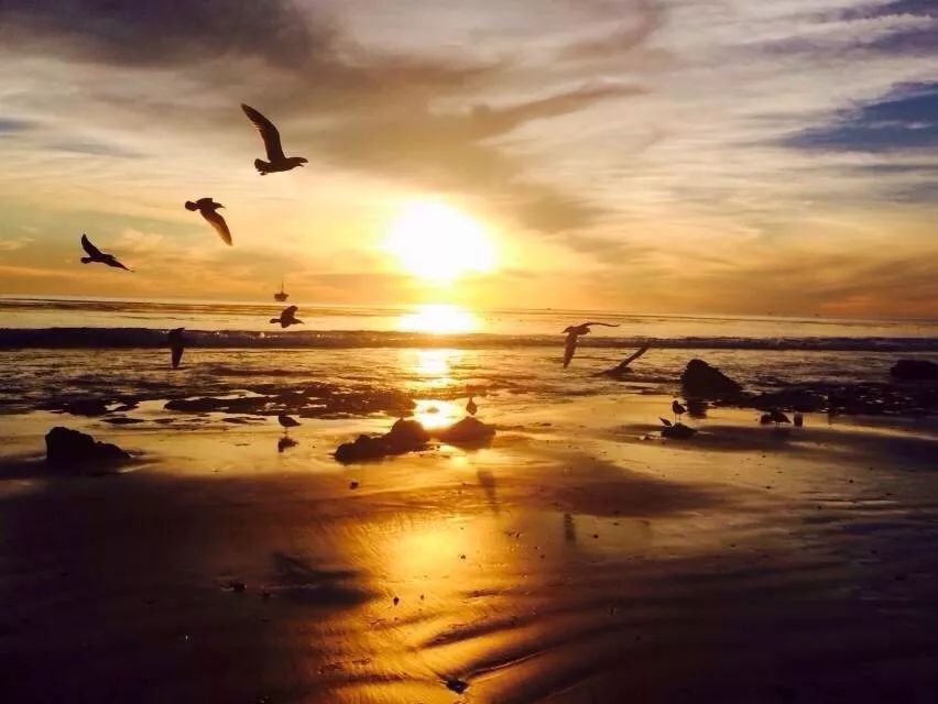 加州新港海滩游玩攻略,加州旅游推荐海边景点攻略