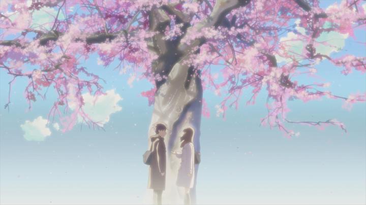 动漫樱花有什么含义,日本动漫中樱花文化