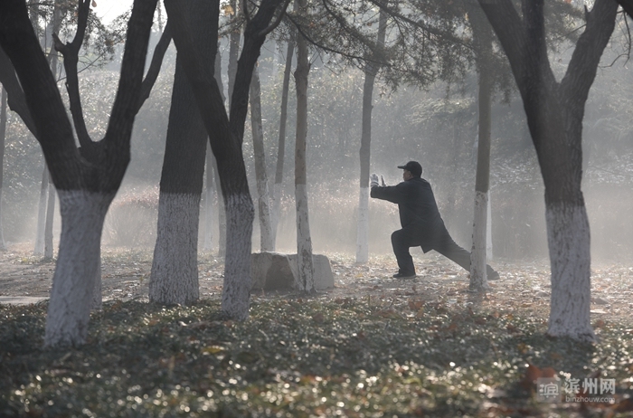 滨州摄影师吕维君：用心感受每一次快门的灵动