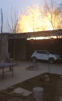 搞笑段子：骑上我心爱的小乌龟