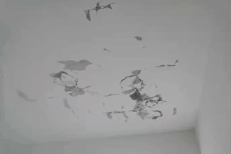 邻居装修打穿楼板业主索赔被拒,楼板打穿物业公司有责任吗