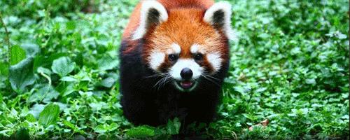 元旦去哪里玩视频,元旦适合去哪玩