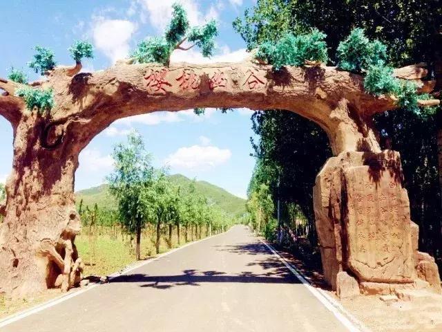 顺义大芦苇荡樱桃采摘园,顺义五大樱桃园