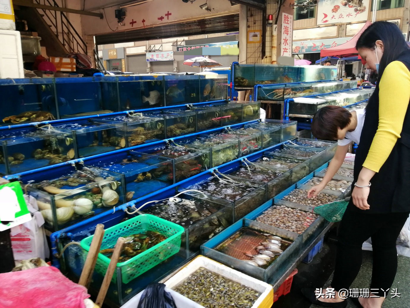 广州最优惠的海鲜市场,广州生蚝批发送货上门