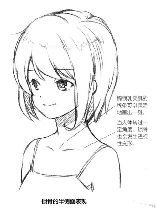 零基础漫画侧脸教程,初学漫画头入门零基础