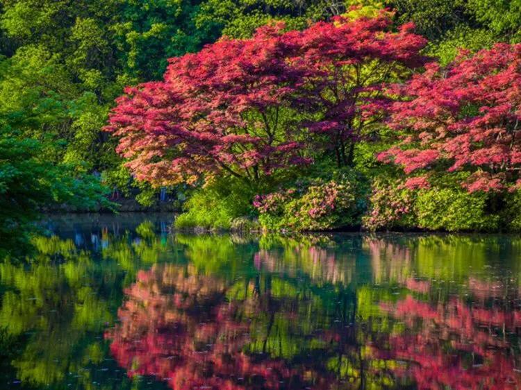 杭州游玩免费景点塘栖古镇,杭州过年免费游玩景点推荐