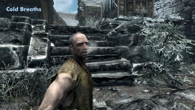 老滚5哪个mod比较好,模组mod