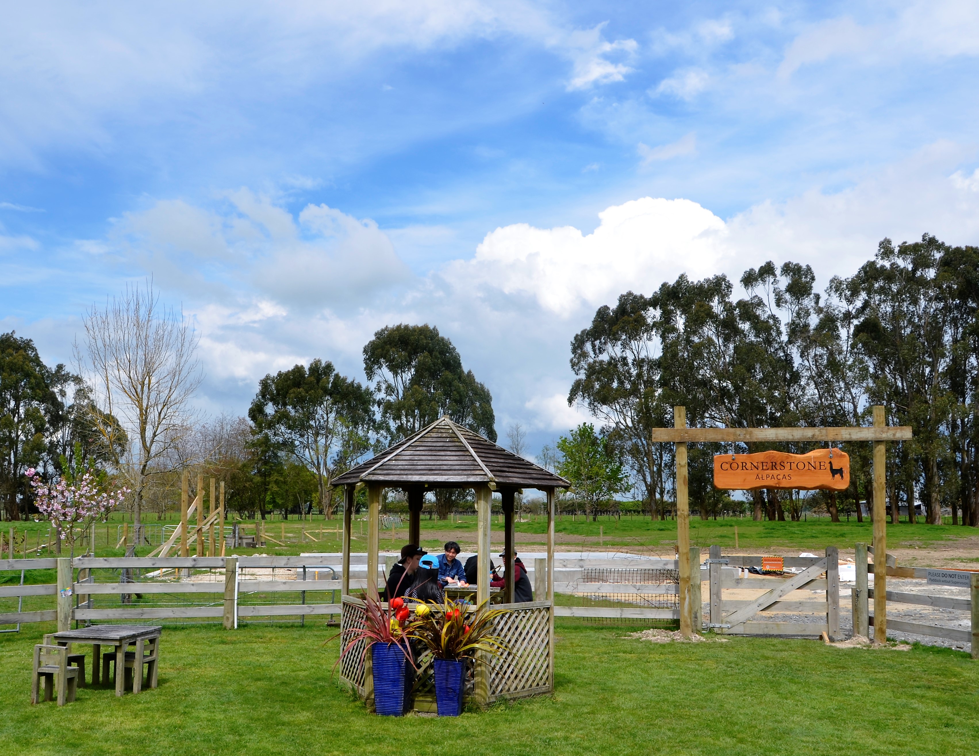 鍛嗚悓棰勮,鍛嗚悓缇婇┘鐢熸皵
