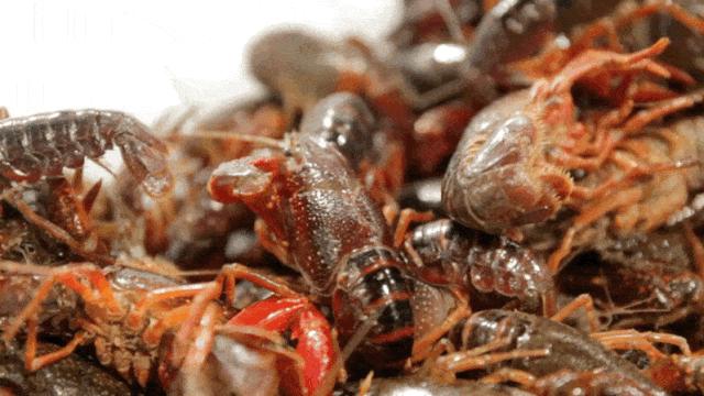 大连自助餐攻略必吃排行榜,大连必去的自助餐厅