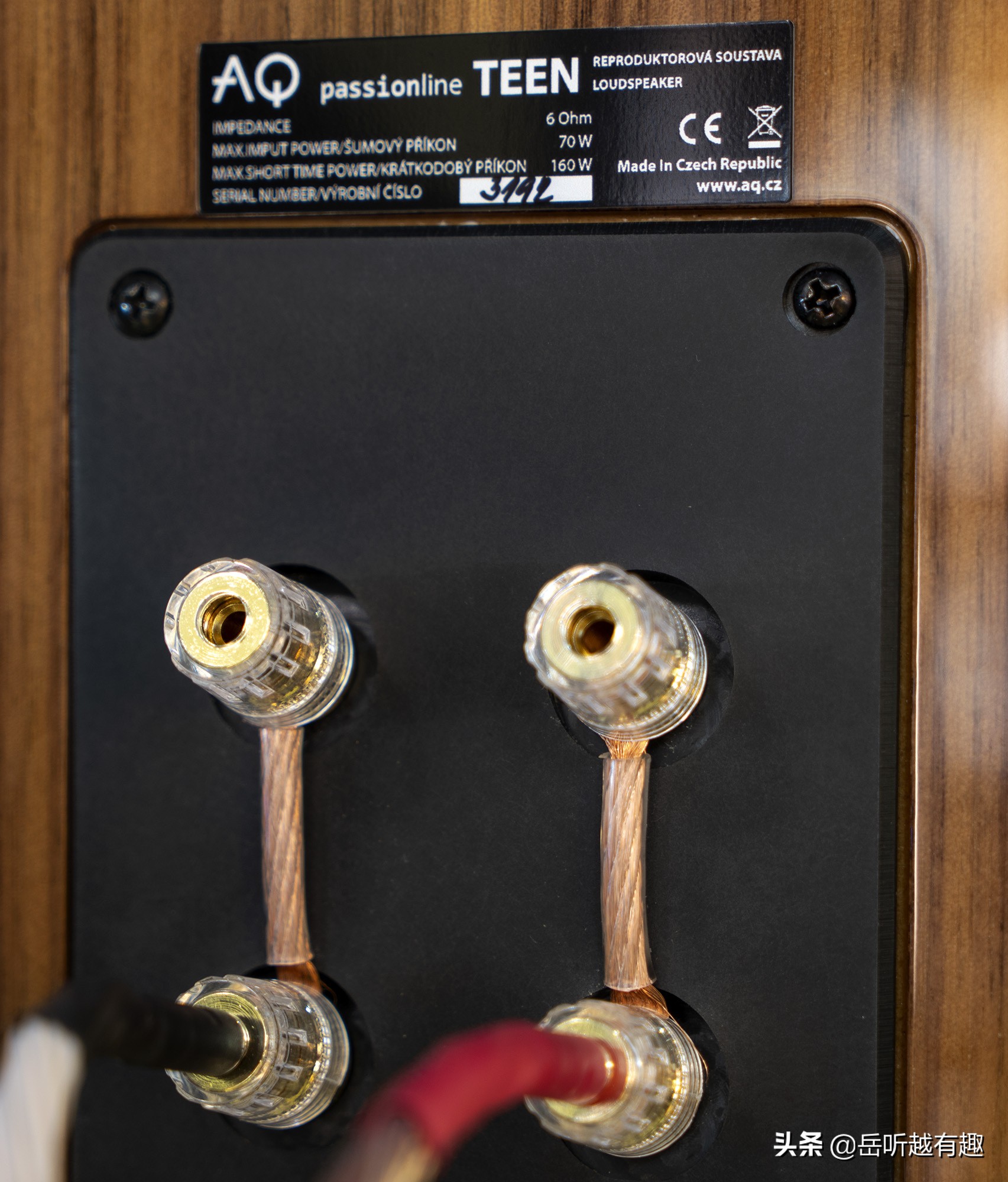 中坚力量——评AQPassionTeen书架式音箱