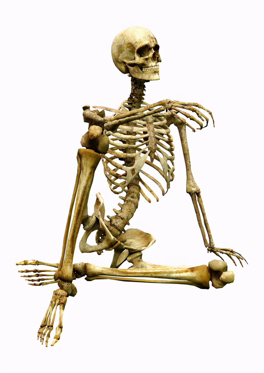 窒息性胸阔肌发育不良综合征,窒息性胸廓发育不良是什么意思