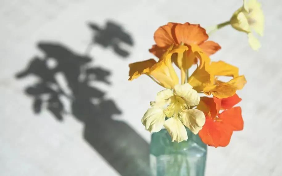 我国首个儿童化妆品监管法规落地,儿童化妆品专项整治