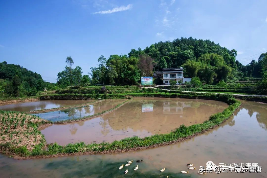 四川岳池黄龙水库,岳池黄龙杨家沟水库