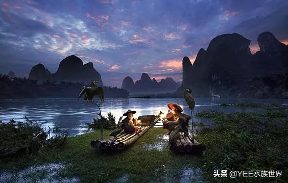 鱼鹰老人:可不可以,不要忘了我们