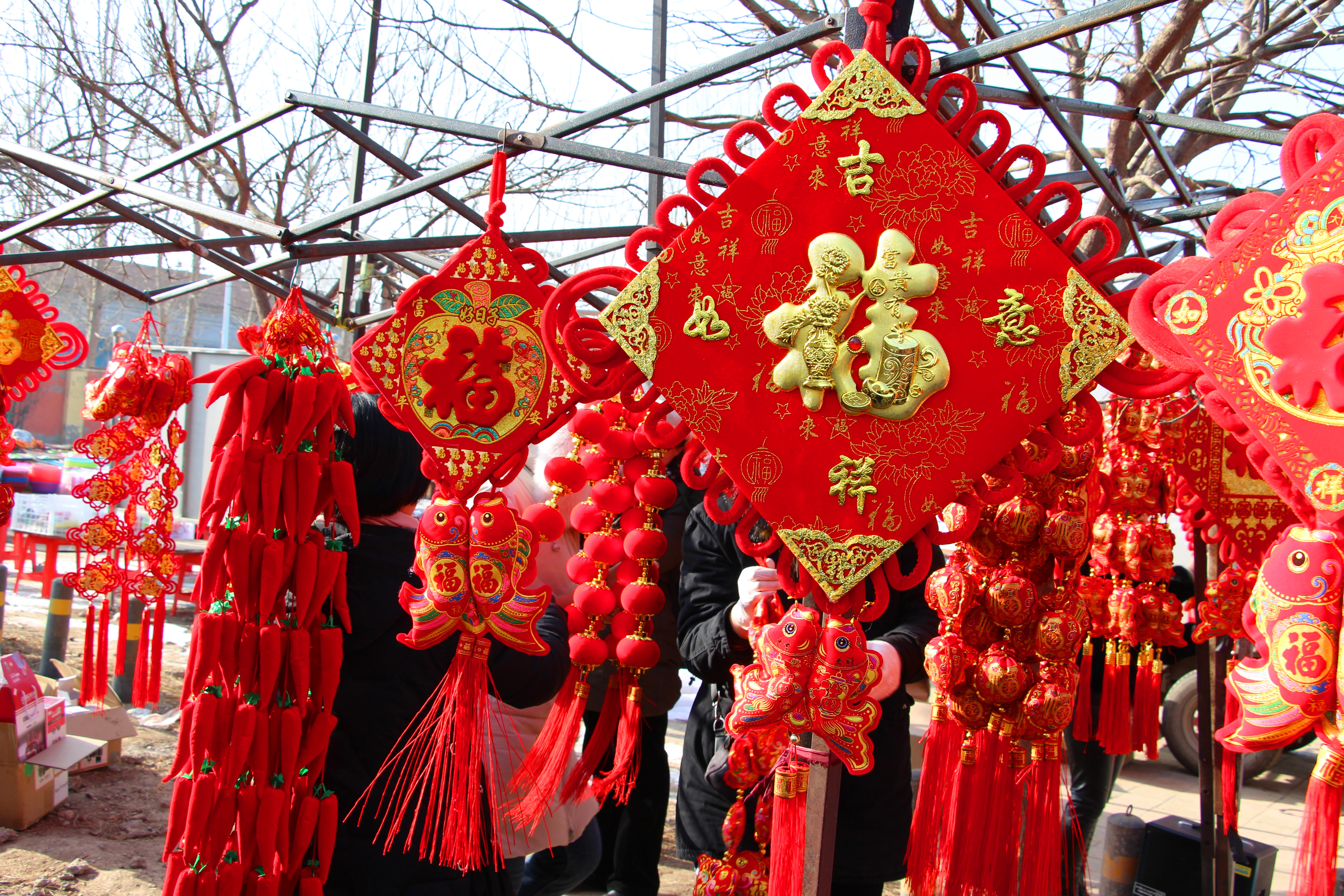 天津市武清区泗村店镇太子务村赶大集