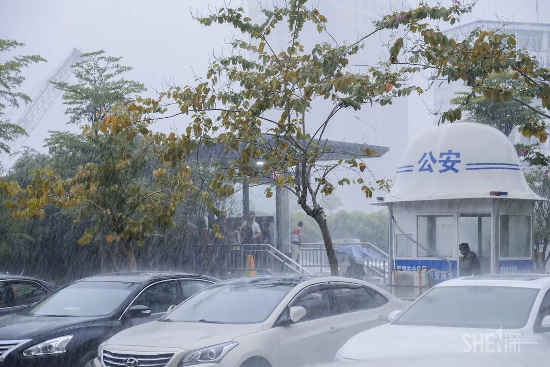 在深圳生活的真实感受短视频,深圳生活的真实感受