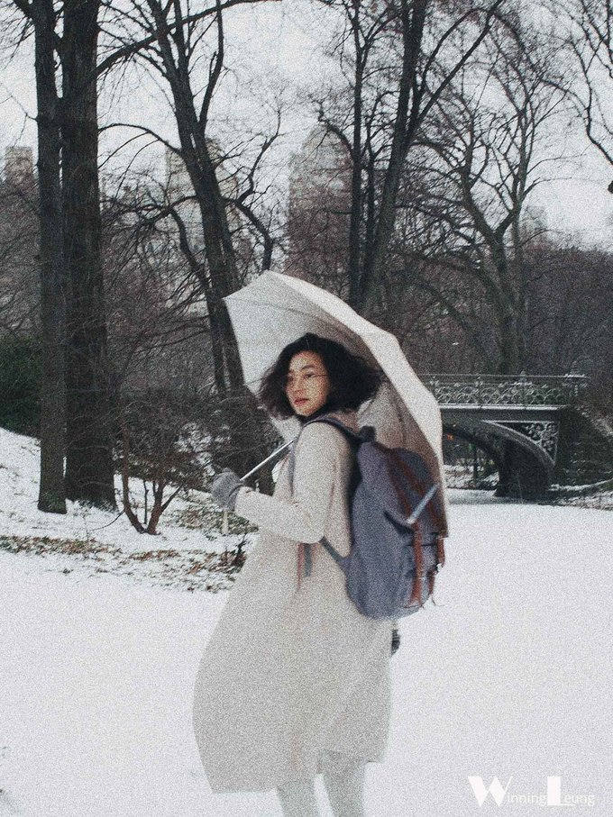 现实版未来之城纽约中央公园,纽约中央公园和北京奥体森林公园