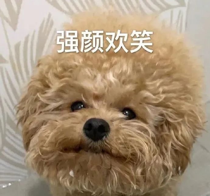 狗狗第一次来姨妈很肿,狗狗第一次来姨妈拉肚子