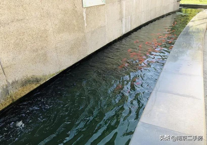 2019年以前的老破小学区房,破旧学区房逆袭70平变双卫住六人