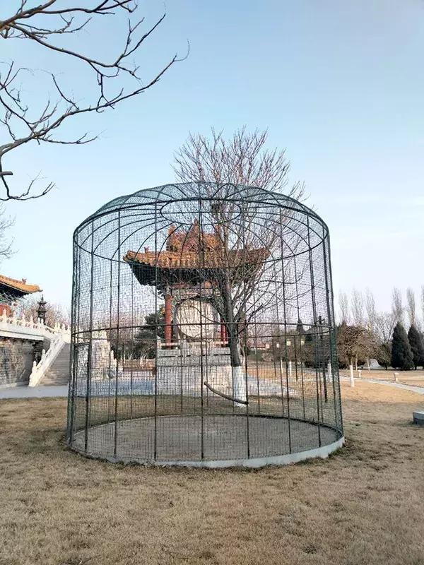 天狮集团李金元豪宅,天狮集团创始人李金元