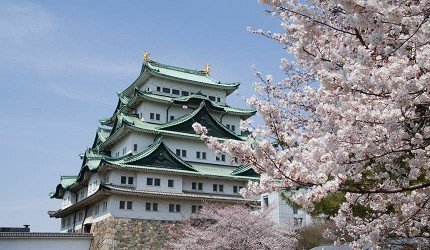 名古屋中部机场购物攻略,名古屋新特利亚机场