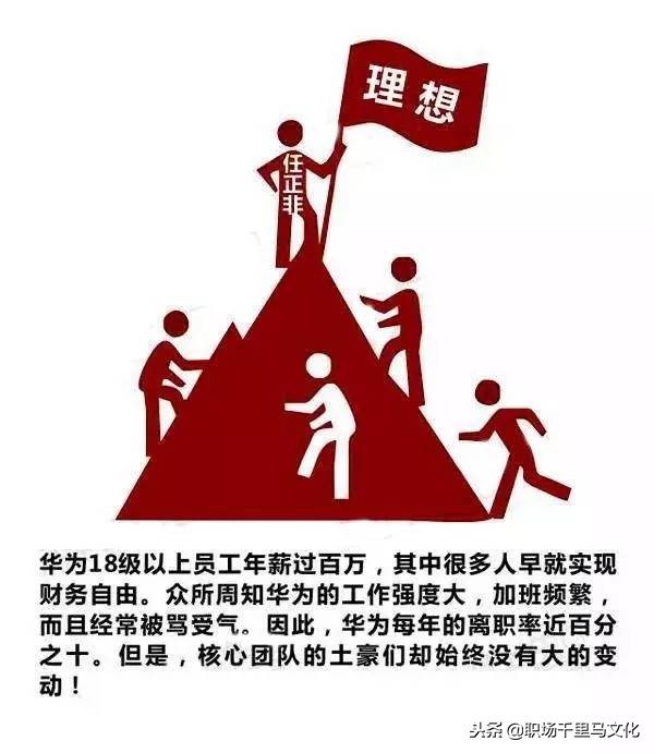 16张图看懂华为管理精华，含文化、培训、绩效、招聘等多个角度！