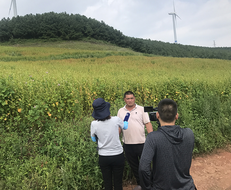 昆明桃园家俱城：*党**建引领、消费扶贫成效显著