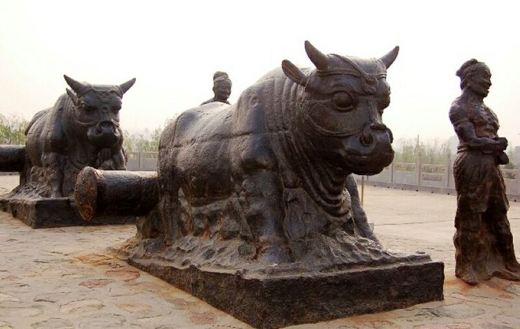 大荔印象在哪,大荔好玩的地方和美食