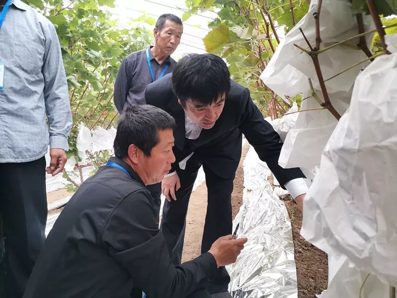 无土栽培和土壤种植技术研究所,农业无土栽培技术培训