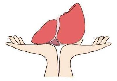 大三阳转小二阳然后转阴,大三阳变小二阳能治愈吗