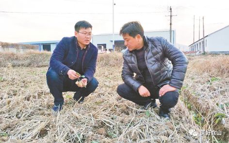 含山90后大学生返乡创业,一年营业收入4000万