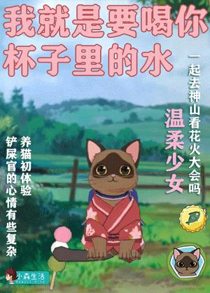 小森生活国服,小森生活平民玩家