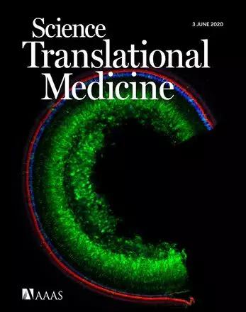 人类首次通过基因编辑攻克隐性遗传病！用单碱基编辑治愈耳聋小鼠