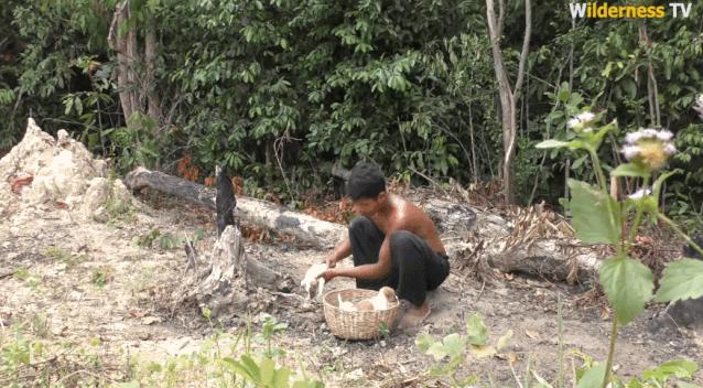 小哥哥徒手建房子,小伙为流浪狗打造温馨的城堡