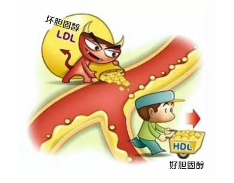 立普妥阿托伐他汀副作用,舒迈通阿托伐他汀副作用