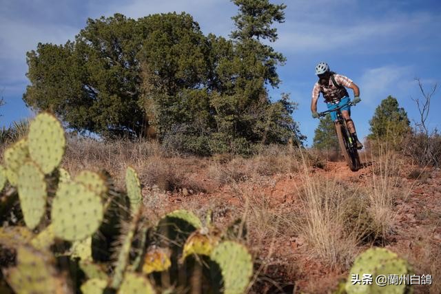 2020年照相机排行榜,2022年值得入手照相机