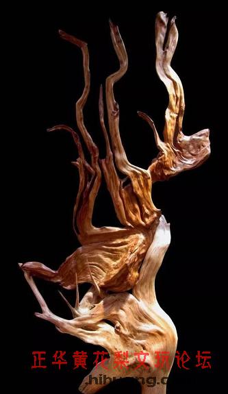 崖柏的正确保护方法,崖柏讲究