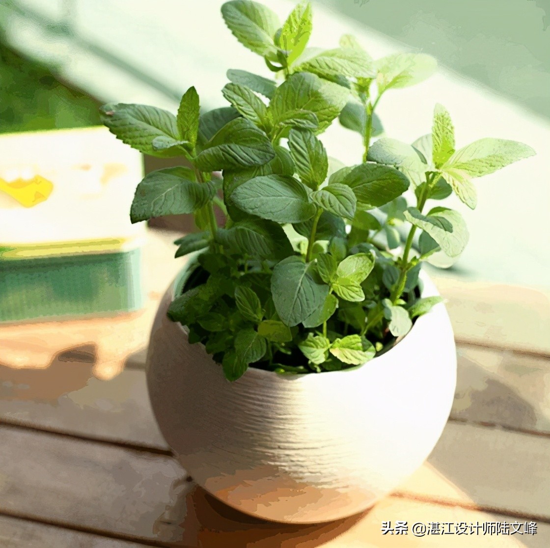 卫生间地漏如何去除异味,解决卫生间地漏异味的方法